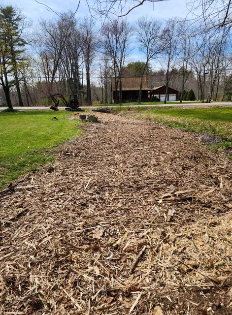 Brush clearing project