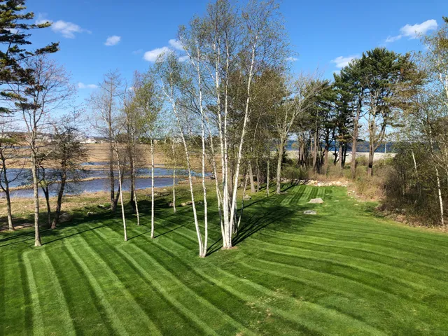 Green Grass Lawn Care work photo