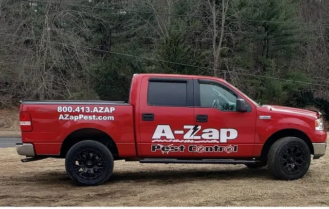 A Zap Pest Control work photo