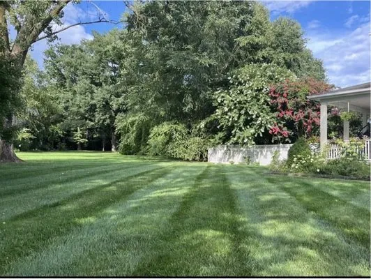 Greenchase Lawn Care researched project photo