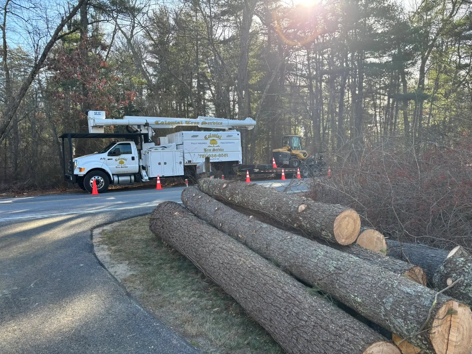 work photo from treeservicekingston.net