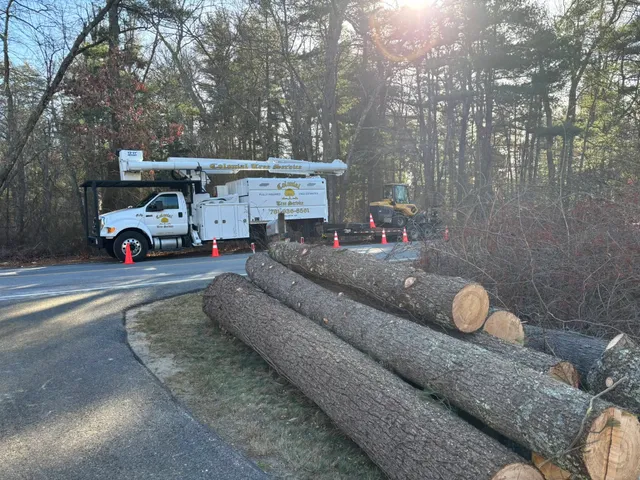 work photo from treeservicekingston.net