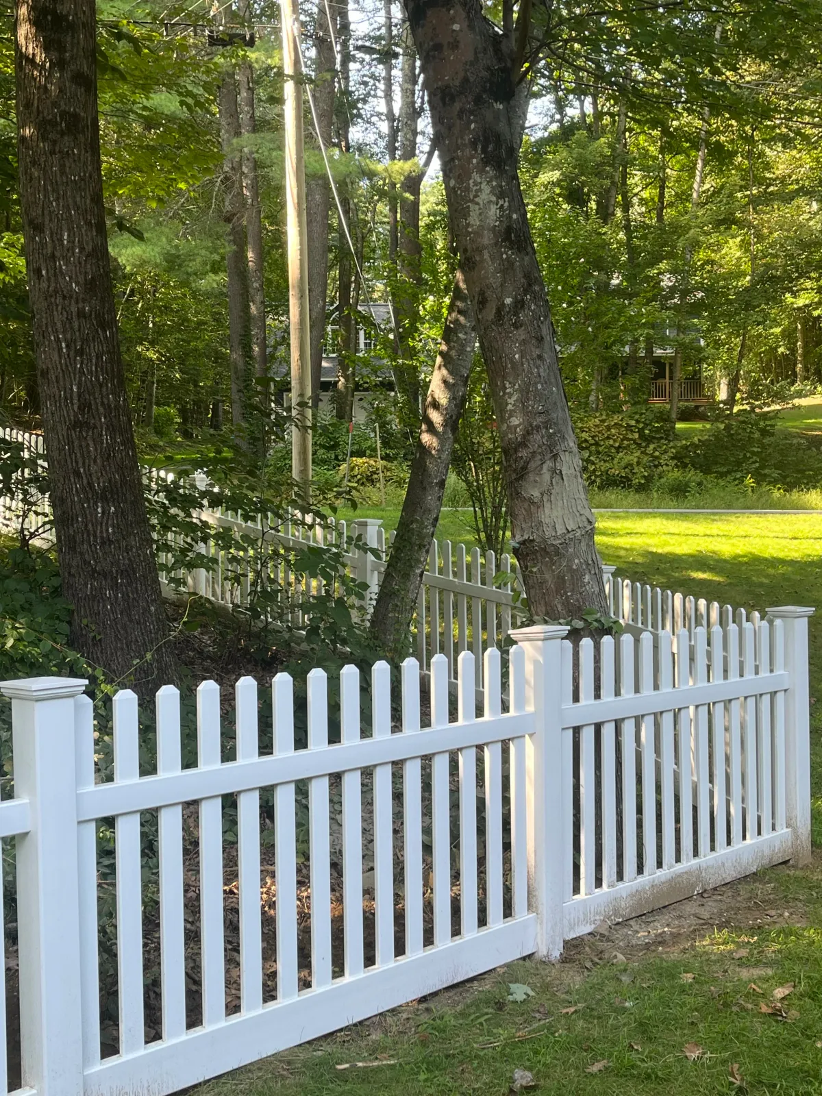 A white picket fence surrounds a lush backyard with trees, a house with a porch visible through the trees, and a grassy lawn.