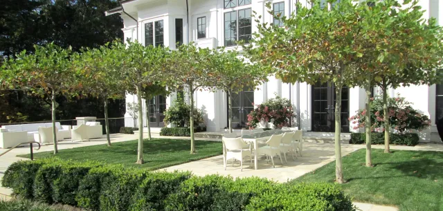 Hillside Residence