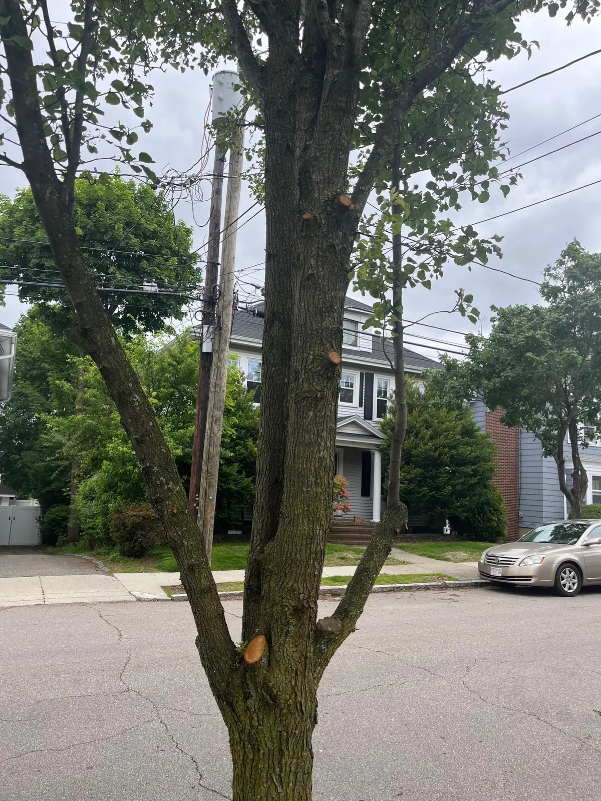 work photo from Google listing