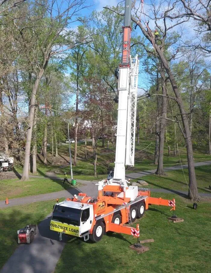 Strobert Tree Services, Inc. researched project photo