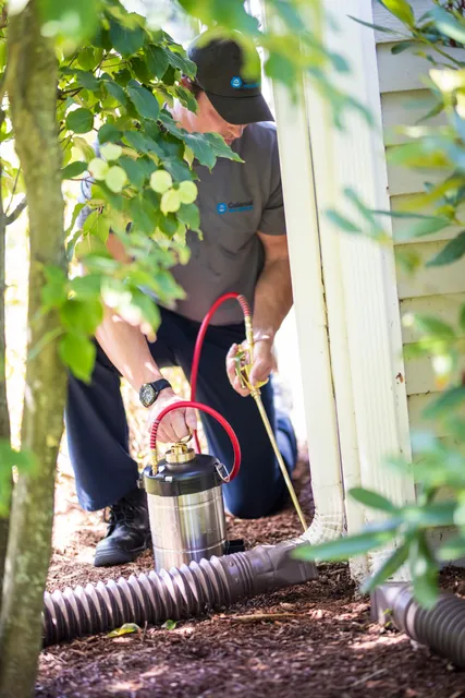 Colonial Pest Control Inc. work photo