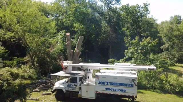 White utility truck with bucket lift parked by trees, labeled “Joe’s Tree Service”