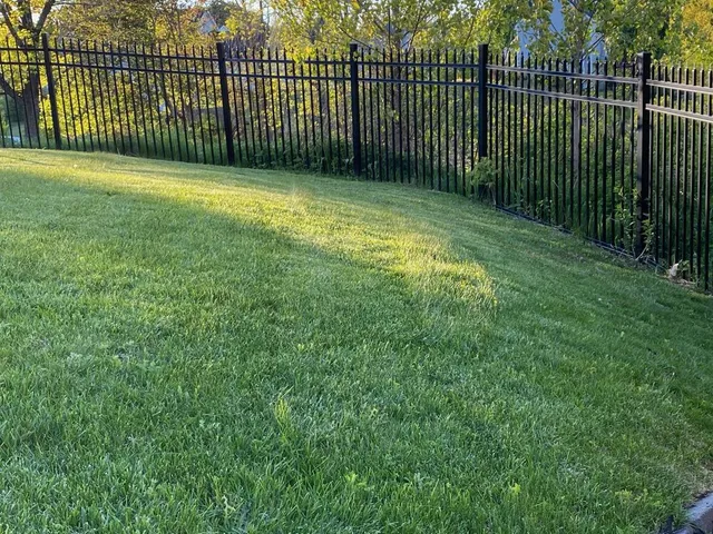 CESAR LANDSCAPING researched project photo