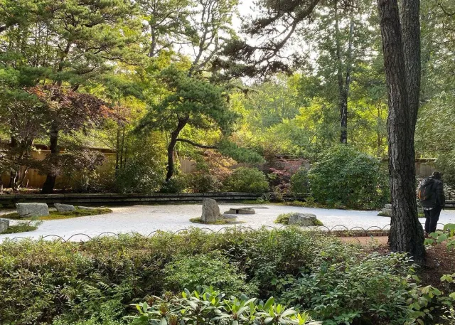 Historic Sand Garden Restoration_Asticou Azalea Garden