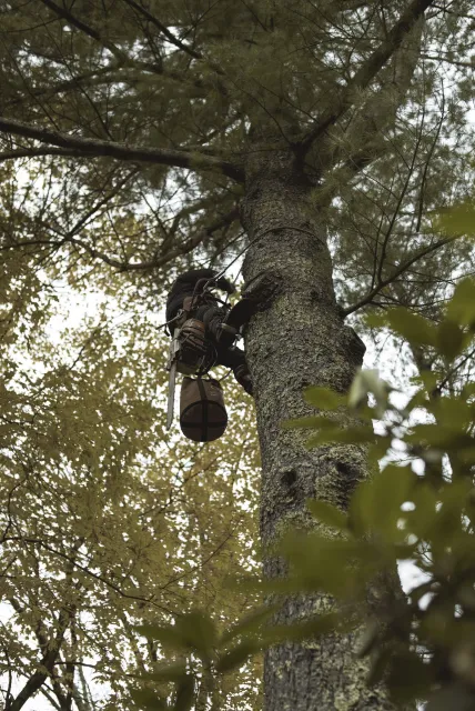 work photo from newenglandtreemasters.com