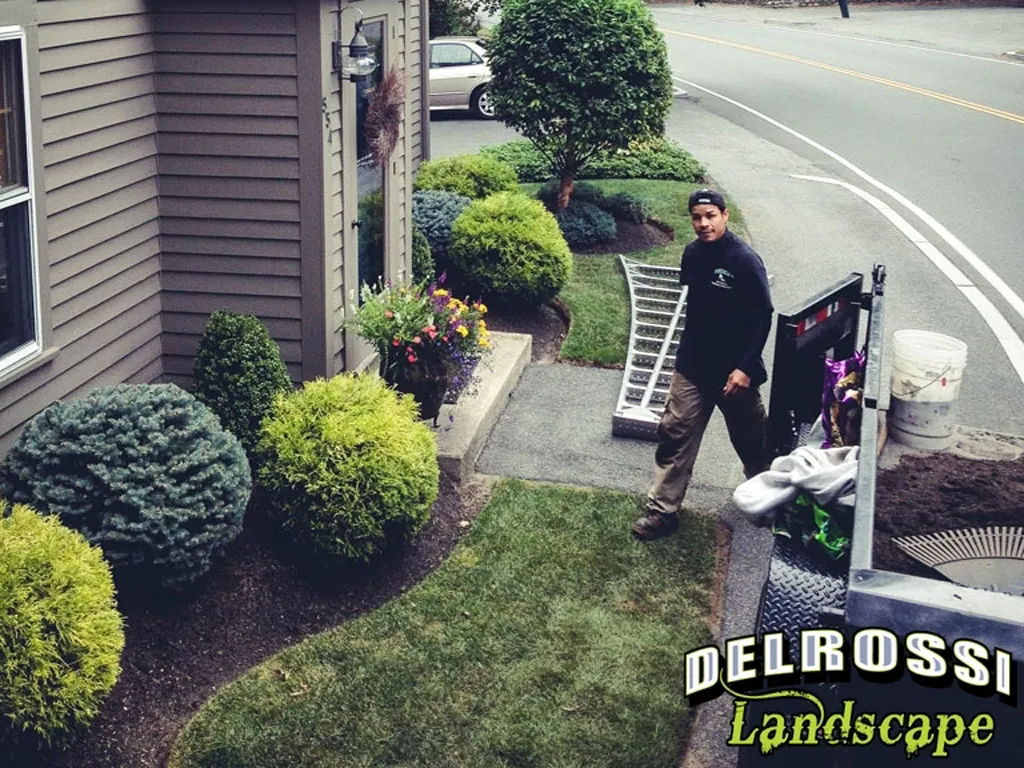 DELROSSI LANDSCAPE AND MAINTENANCE researched project photo