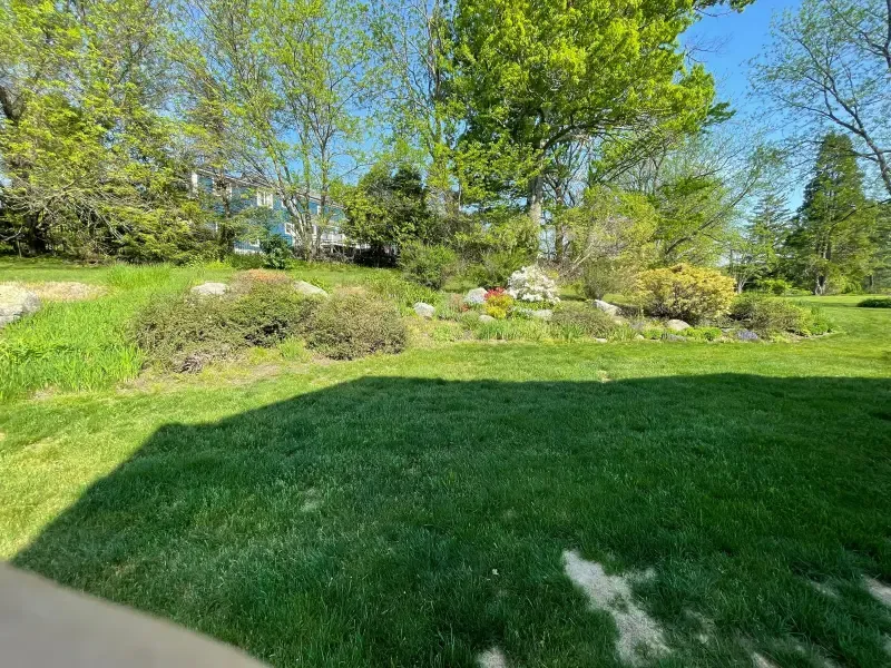 Before - lawn 1