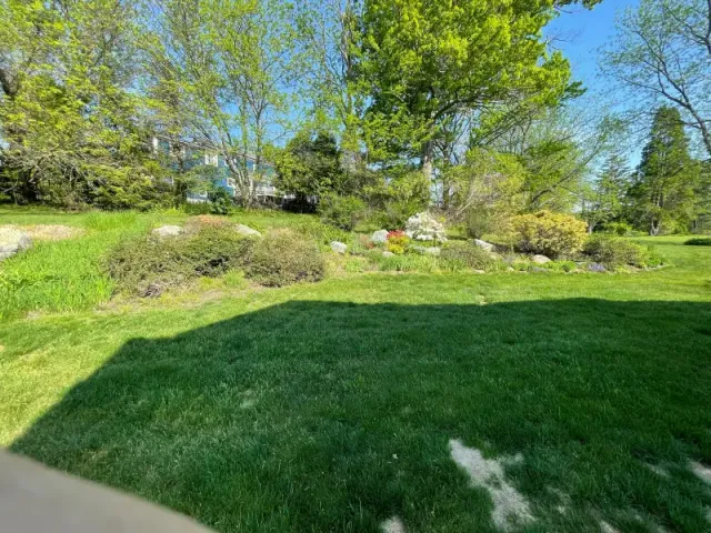 Before - lawn 1