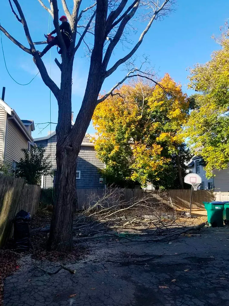 work photo from bslandscapingllc.com