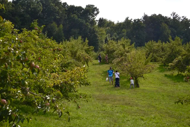 work photo from fernvalleyfarmsllc.com
