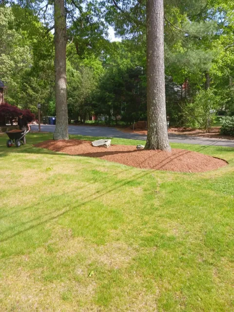 work photo from 65f1f838aa759.site123.me