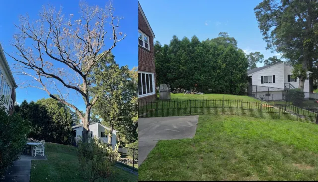 Landscape Transformation