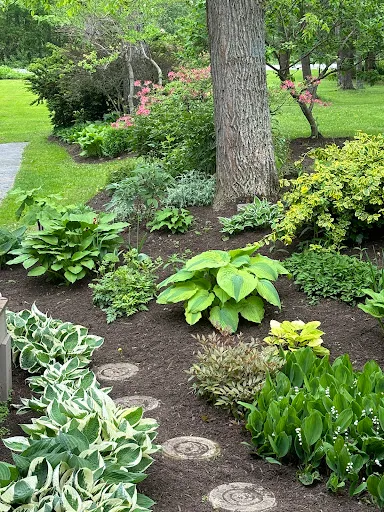 By the Yard Lawn Care Services work photo