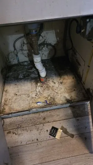 Deep Cleaning