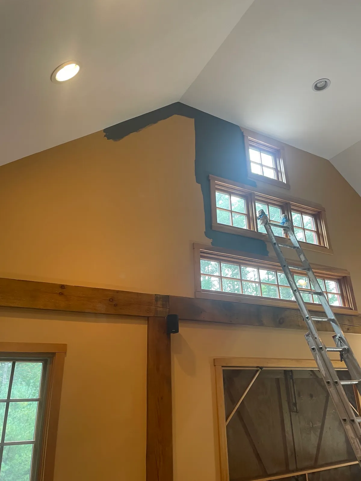 Nolan Painters