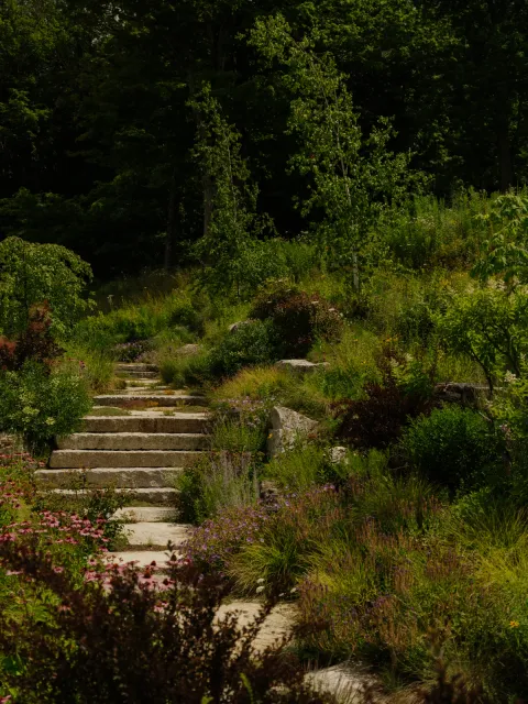 Natural stone steps connected to the planted slope