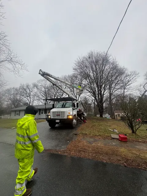 Mendez Tree Services work