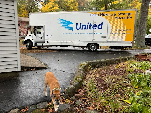 Gallo Moving & Storage, LLC work photo