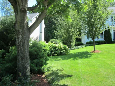 Heartwood Landscape Designing researched project photo