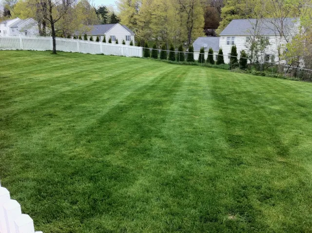 Neighborbuilt Home Improvement and On Demand Lawn Care work photo