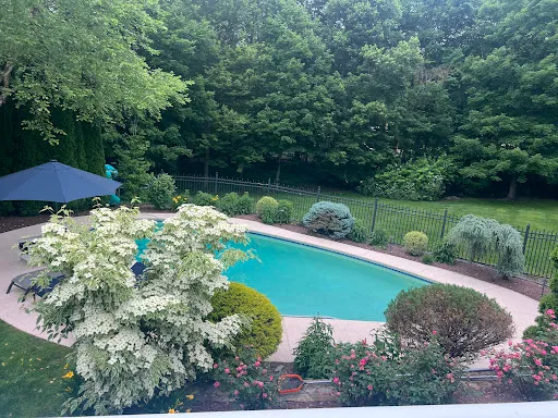 Barretta Gardens & Landscape work photo