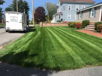 Lawn Mowing