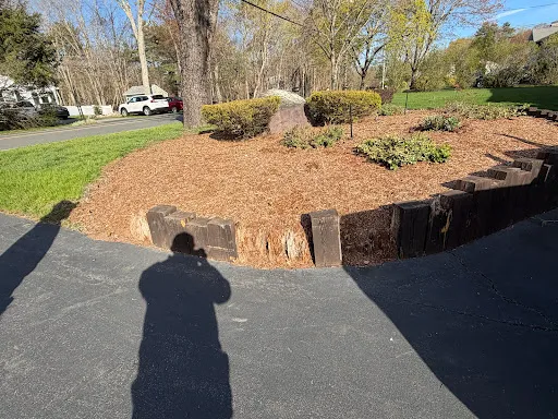 Review photo by Mike Lindley