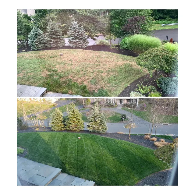 work photo from lattanziolandscaping.com