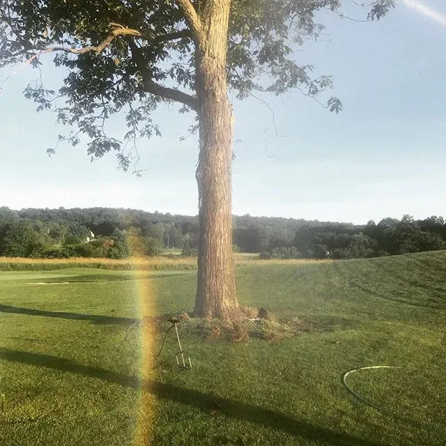 Tree fertilization and #rainbows in support of #pridemonth2019 🏳️&zwj;🌈 #allorganic #treecare #arborist #treepreservation