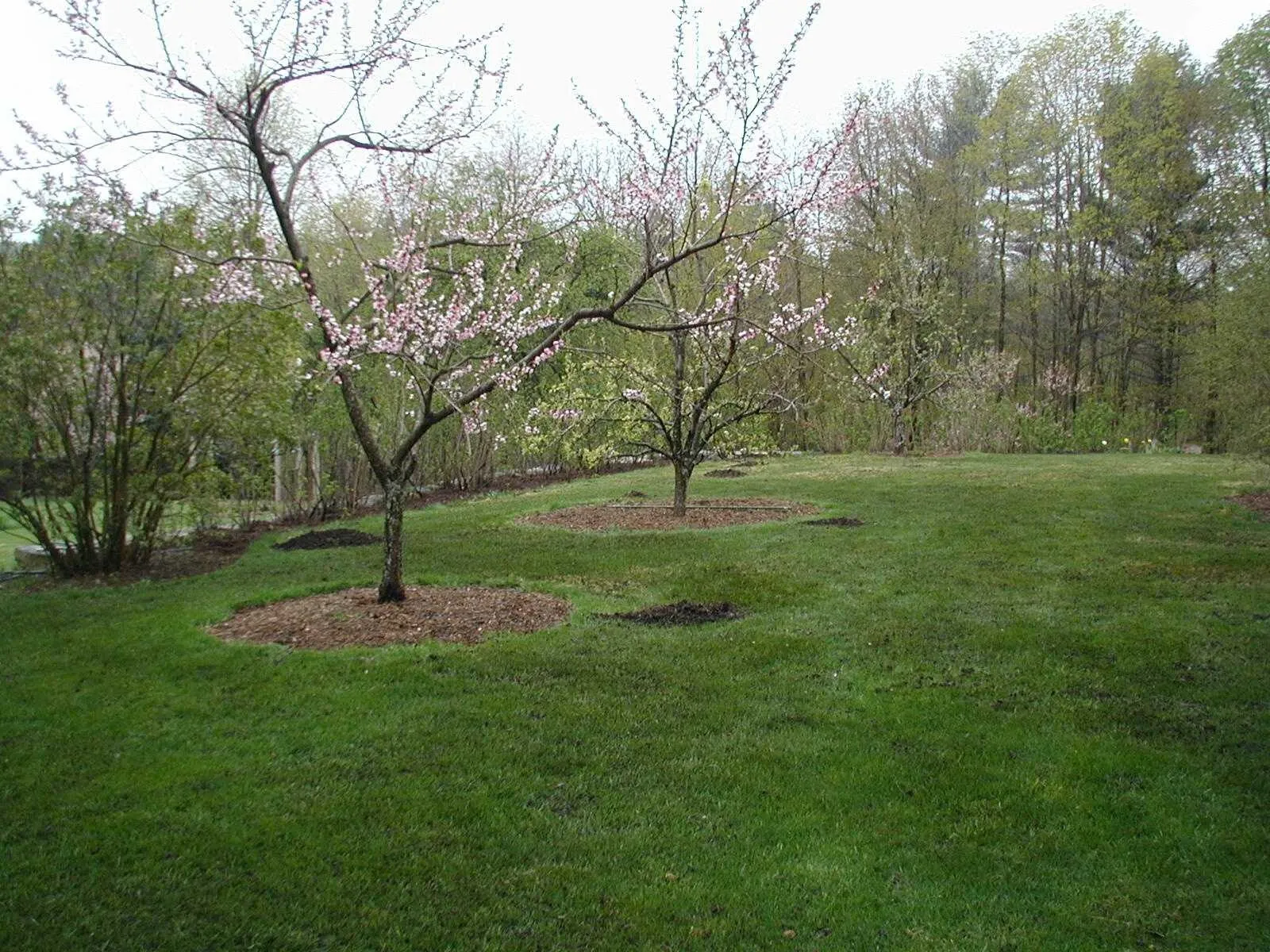 Pioneer Valley Organics Landscaping