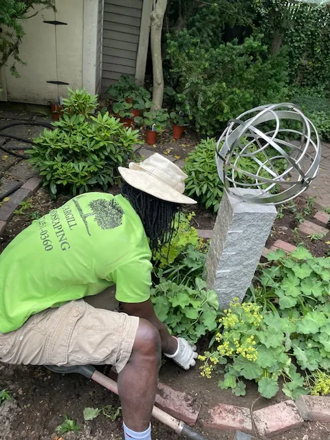 CARGILL LANDSCAPING LLC work photo