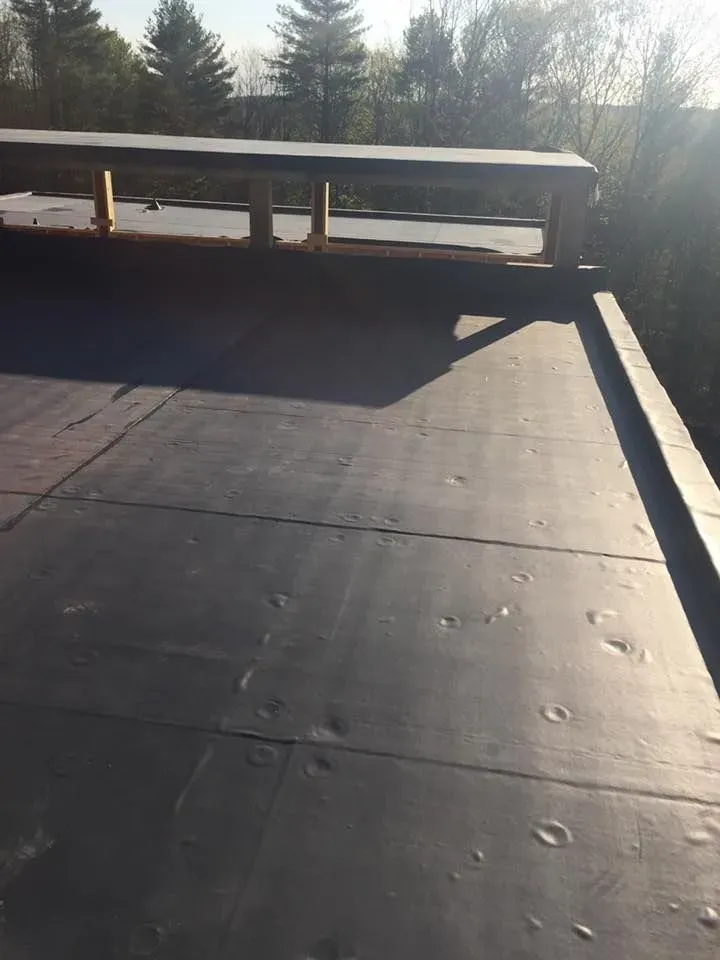 Black flat roof with wood frame, dappled with sun, set in a sunny, wooded area.