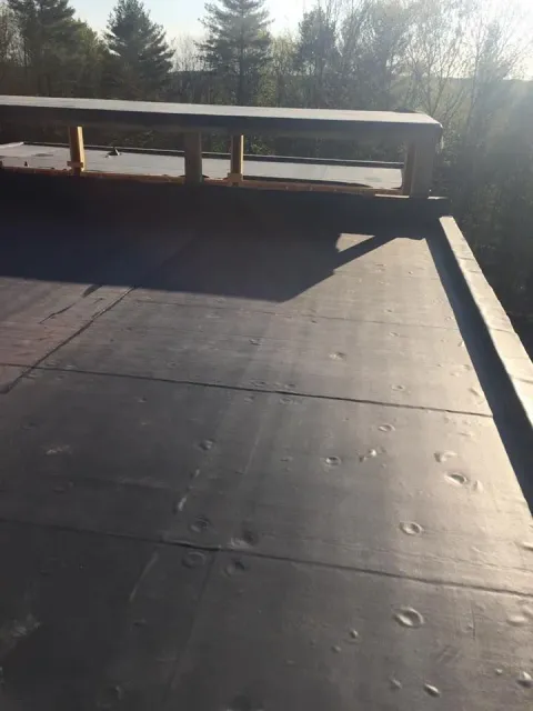 Black flat roof with wood frame, dappled with sun, set in a sunny, wooded area.