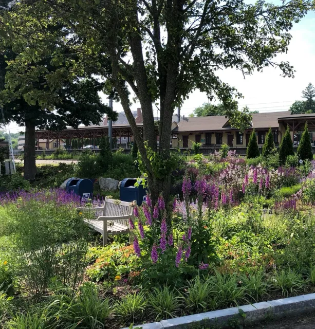 New Canaan Mailbox Dropoff