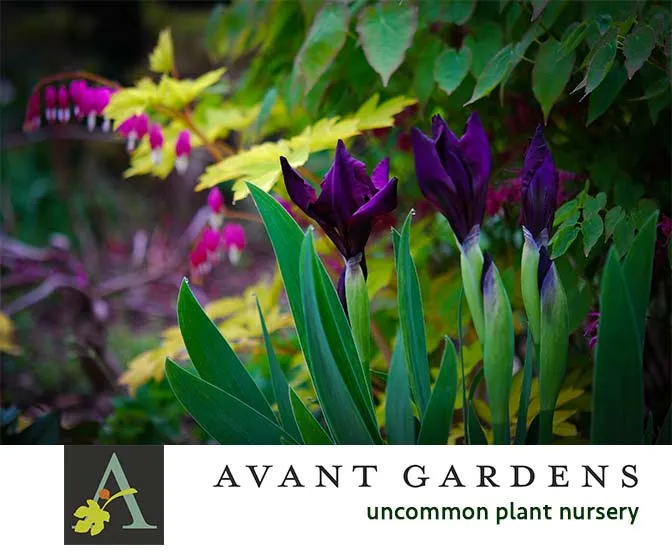 Avant Gardens, Inc