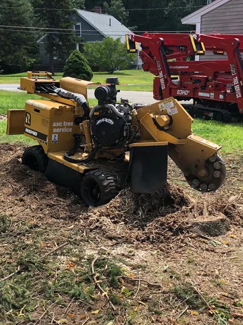 ASC Tree Service Inc. work photo