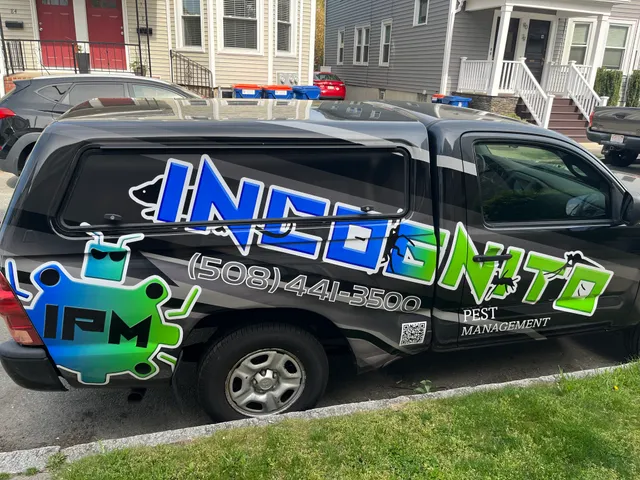 Incognito Pest Management work photo