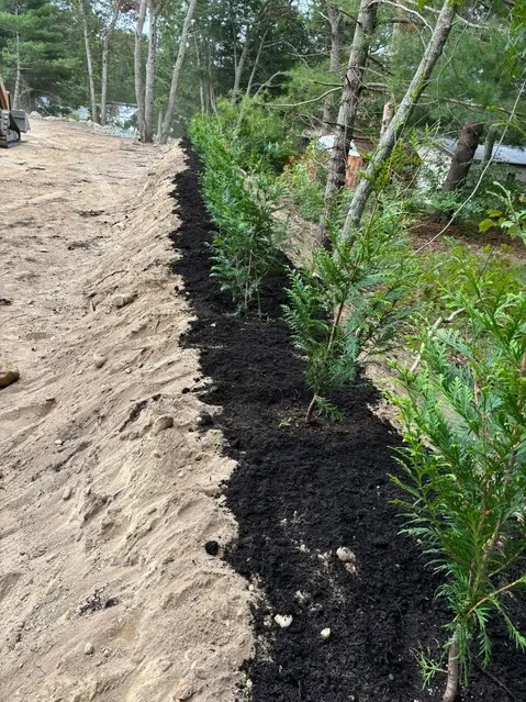 work photo from thlandscapedesign.com