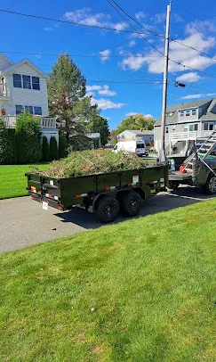 Cleaning up lawn