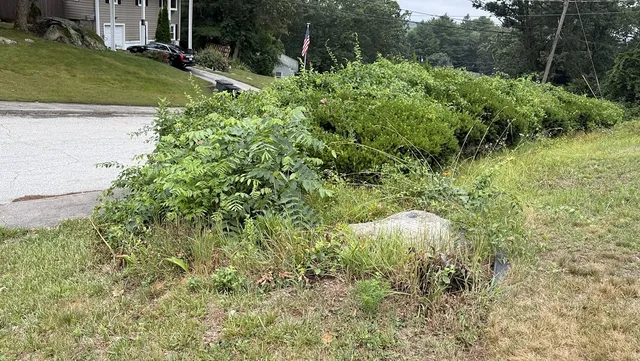 work photo from qsqualitylawncarellc.com