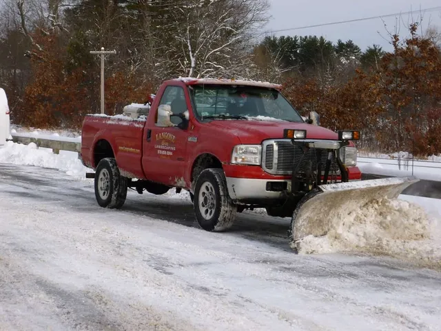 work photo from langonebros.com