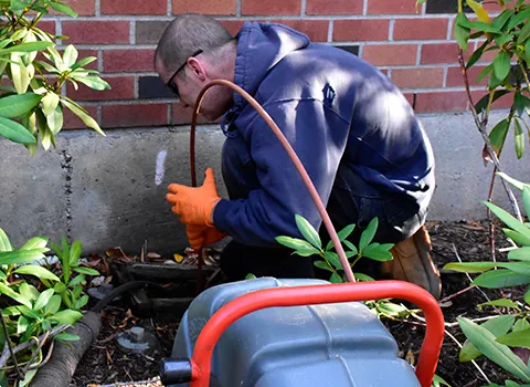 work photo from waynesdrains.com