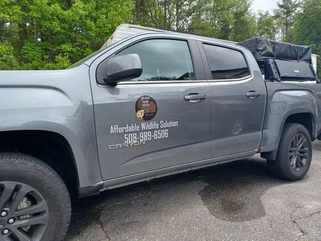 Affordable Wildlife Solution work photo