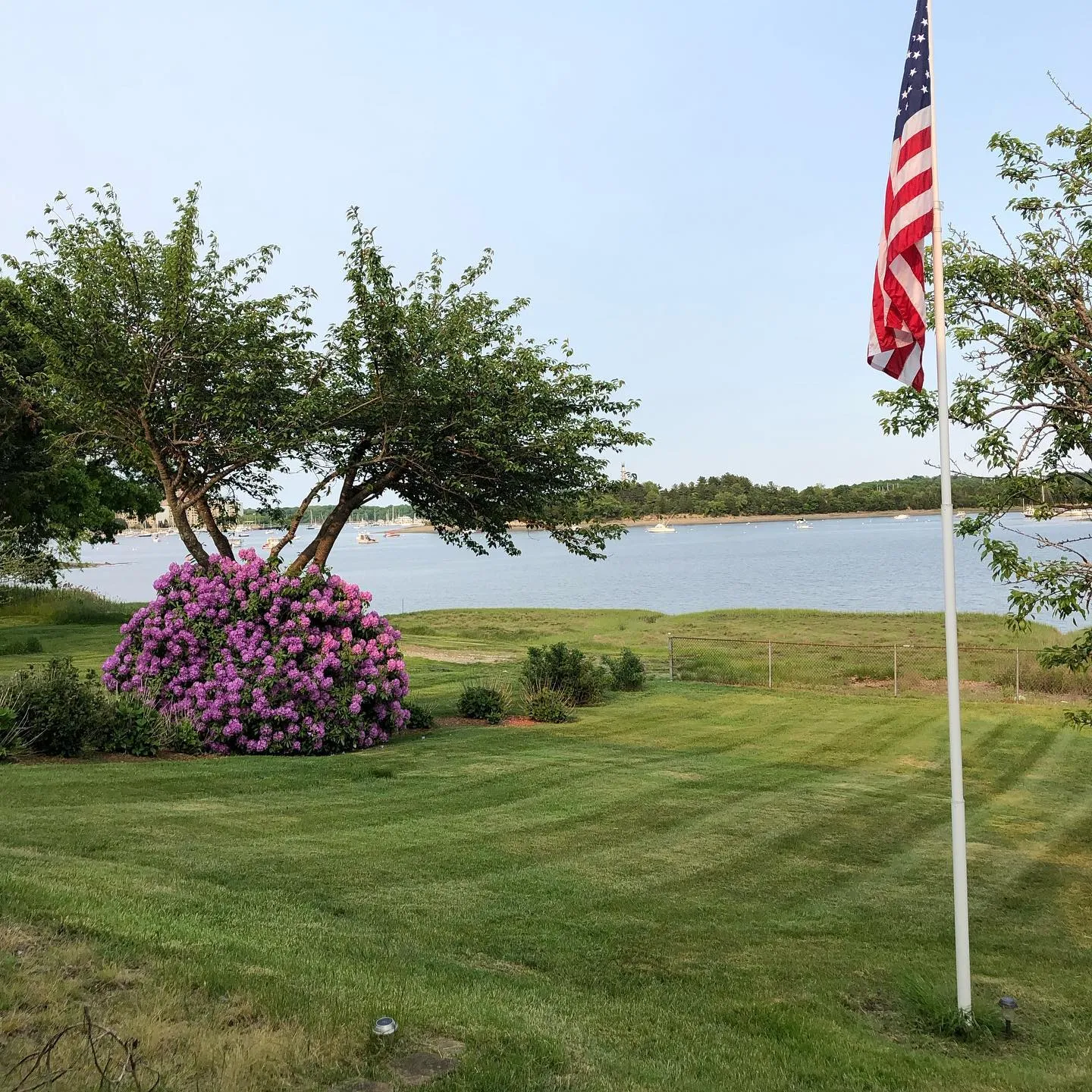 Waterfront lawn with flowering shrub and flagpole